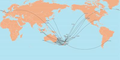 Hava Yeni Zelanda yol haritası uluslararası